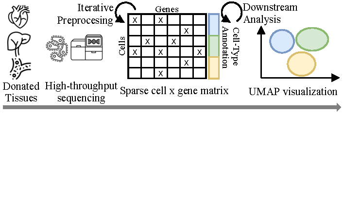 scRNA-seq pipeline from donor sample collection through preprocessing (quality control, normalisation, dimensionality reduction) to downstream analyses such as cell-type annotation, clustering, and cluster comparison.